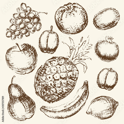Vector hand drawn charcoal fruit set