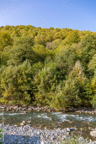 Wallpaper Mural Strong water flow of a mountain river near a rocky shore Torontodigital.ca