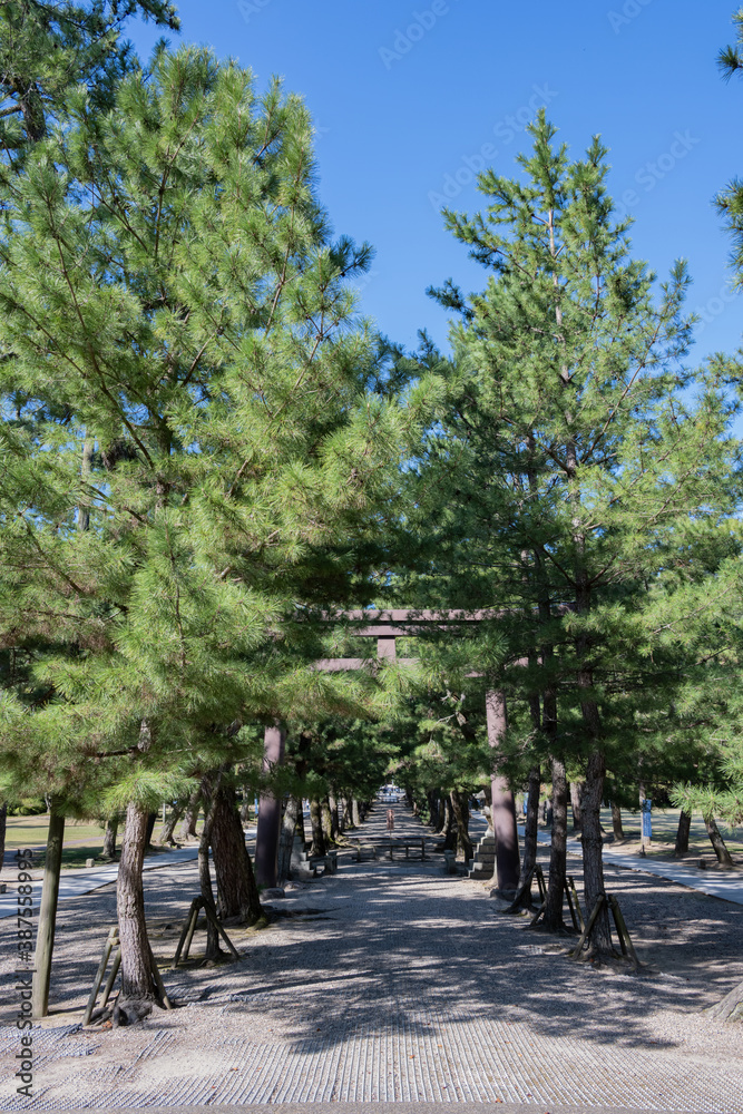出雲大社-松の参道の鳥居(中の鳥居)(三の鳥居) 出雲大社-松の参道の鳥居(中の鳥居)(三の鳥居)