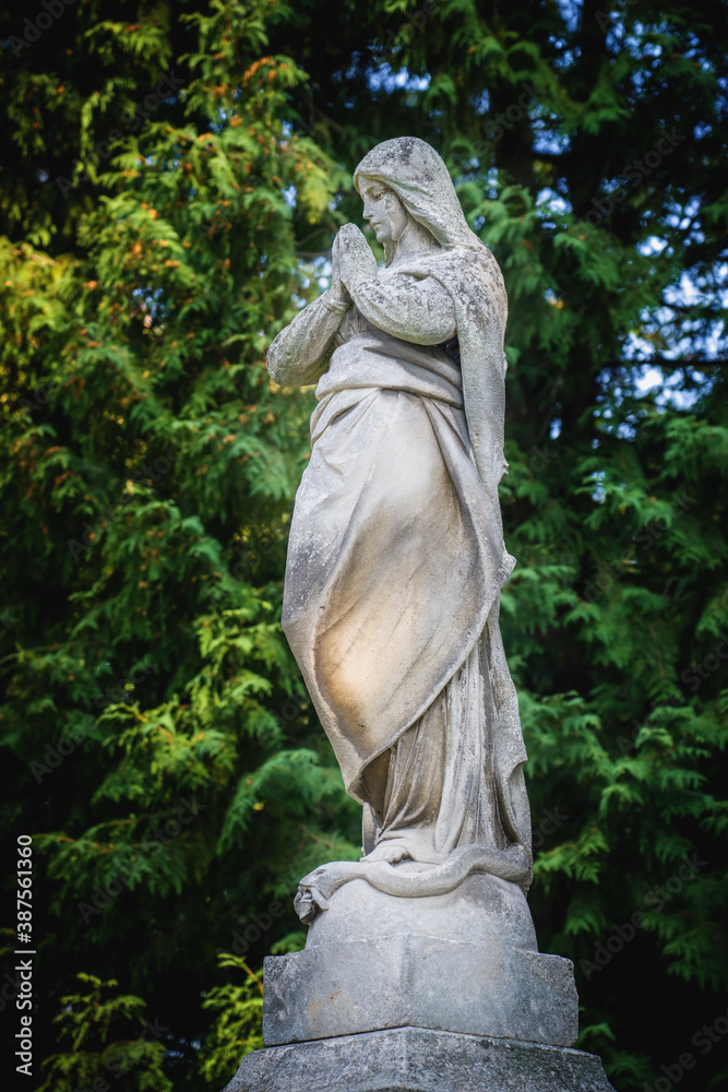 Virgin Mary is Queen of heaven. Ancient statue against green background of leaves.