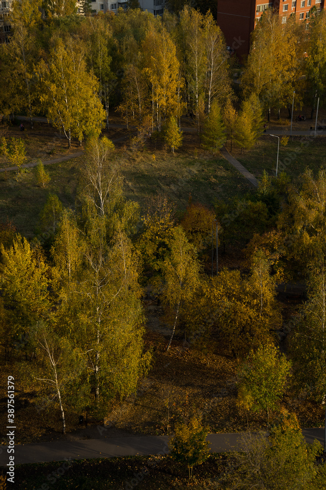 autumn in the forest autumn in the forest