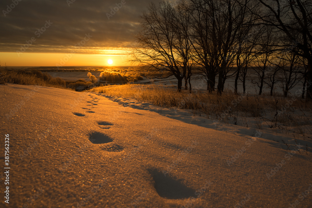 footprints in the snow