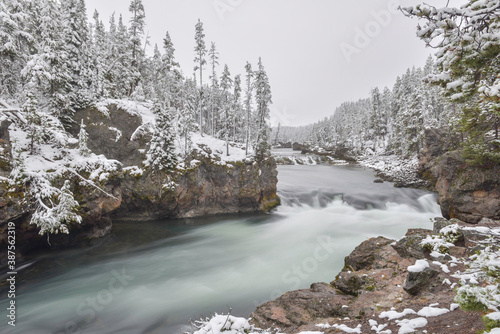 Rio en un bosque nevado