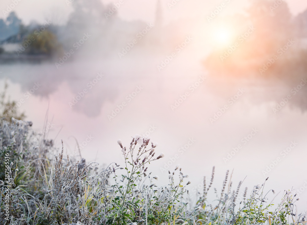 Foggy autumn morning by the river. grass covered with hoarfrost and cobwebs on the shore. soft selection focus. Foggy autumn morning by the river. grass covered with hoarfrost and cobwebs on the shore. soft selection focus.