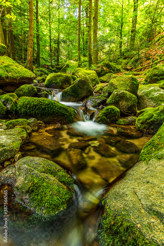 Black Forest Mossy Green Creek 1