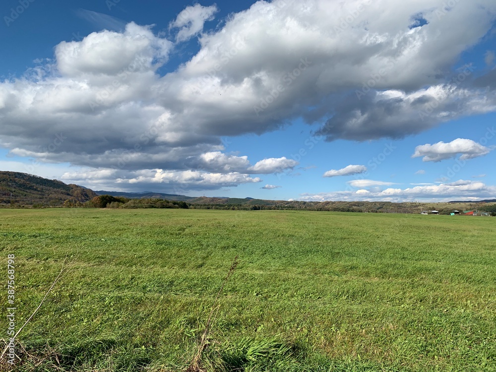 Fototapeta premium 北海道の牧草地