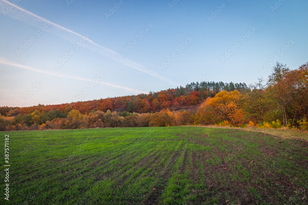  the green field and the sunset of a warm autumn. Russian Federation