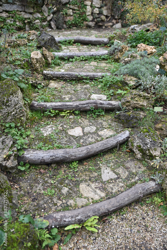 Fototapeta premium Escalier de jardin