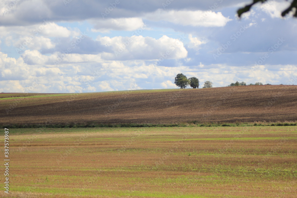 Obraz premium landscape with a field