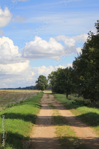 rural road near the field