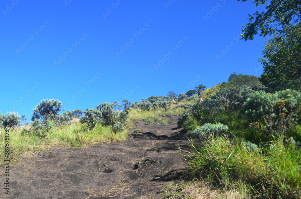 landscape with sky