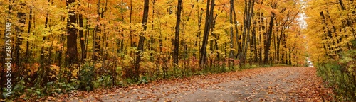  The maple road in autumn, Saint-Marcel