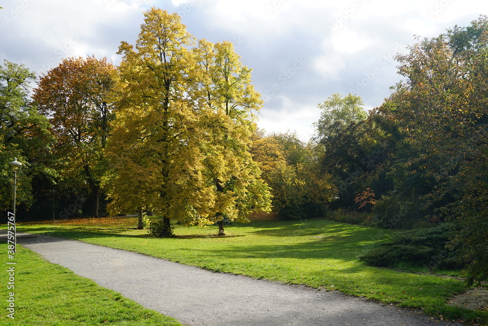 Stadtpark Steglitz im Herbst bei Sonnenschein Stadtpark Steglitz im Herbst bei Sonnenschein