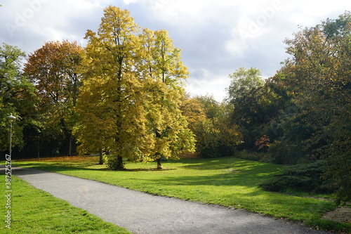 Photography Stadtpark Steglitz im Herbst bei Sonnenschein