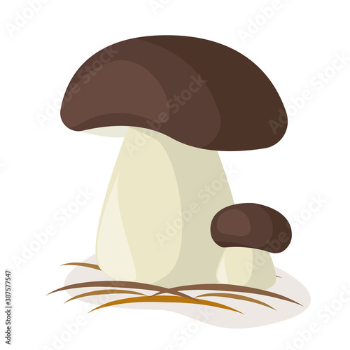 Porcini mushrooms are edible organic raw materials. Relistic on a white background. It can be used as a logo, label, product packaging, sticker. Vector illustration.