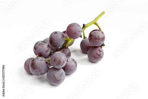 Wet grapes brunch isolated on white background. Juicy summer/autumn fruit