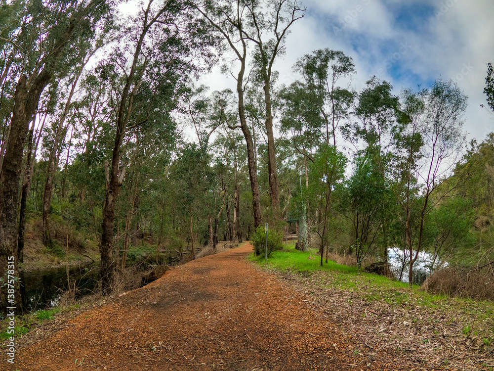Obraz premium Walk near River in Lane Poole Reserve Western Australia.