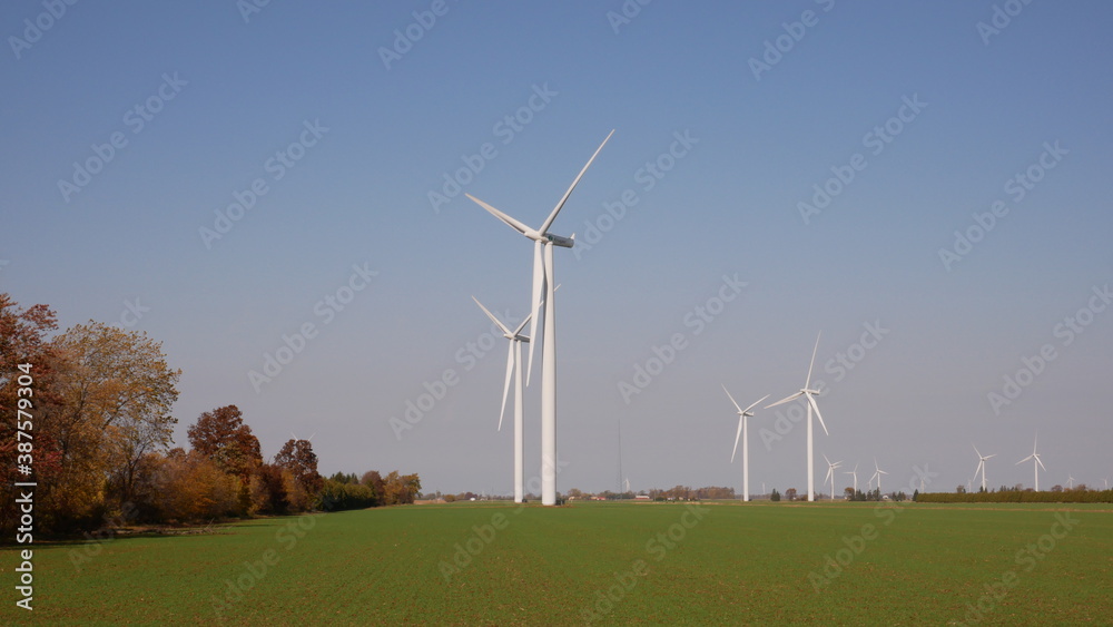 Windmills on Green Fields with Blue Skies Windmills on Green Fields with Blue Skies