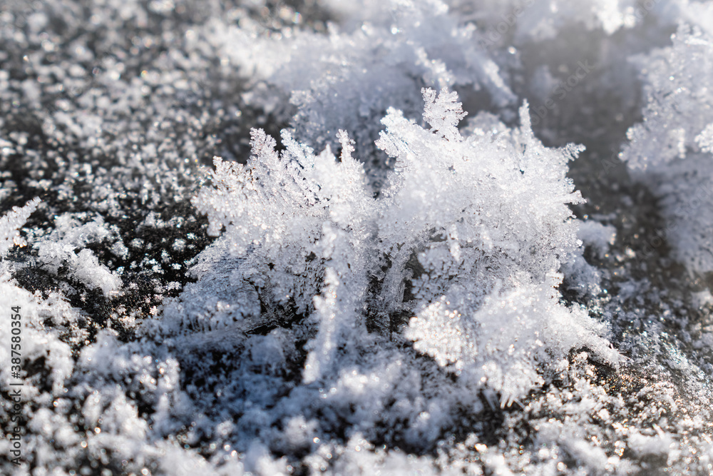 Snowy white background with frosty crystals and curly snowflakes close-up. Winter is a cold season with a blinding white bright color Snowy white background with frosty crystals and curly snowflakes close-up. Winter is a cold season with a blinding white bright color