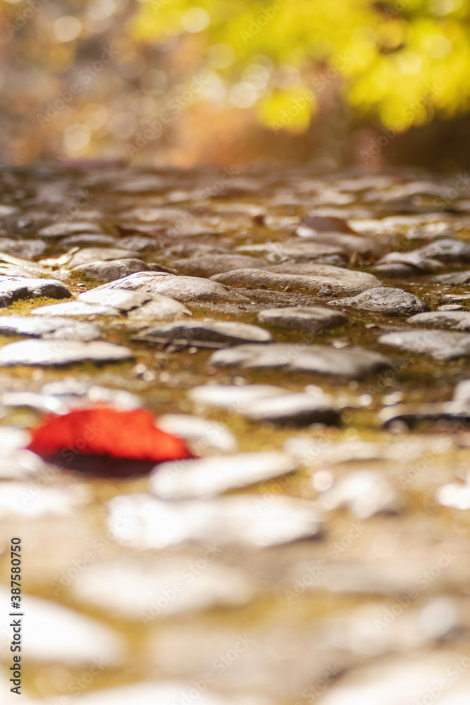 Stone cobbles path with fallen autumn leaves in colorful autumn on background. Abstract background. Stone cobbles path with fallen autumn leaves in colorful autumn on background. Abstract background.