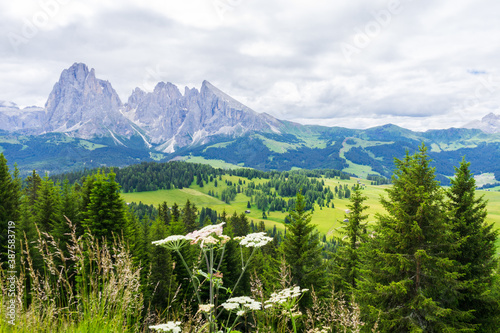 mountains, Alpe di Siusi or Seiser Alm, Dolomites Alps, Italy. photo