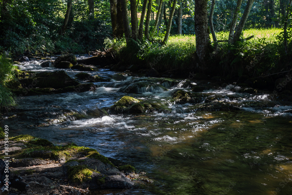 Auvergne