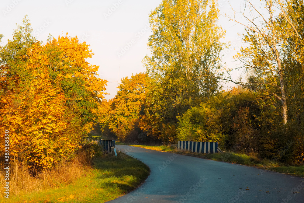 Obraz premium road, autumn, bridge