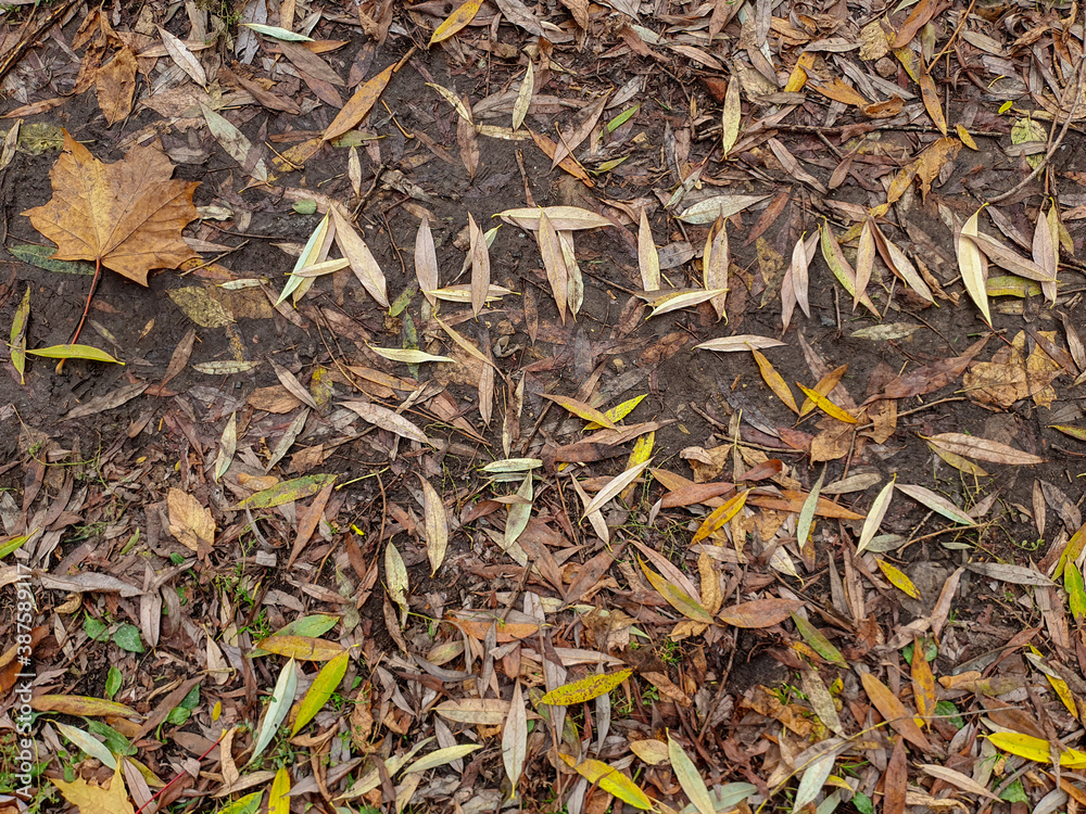 On the ground, the word 