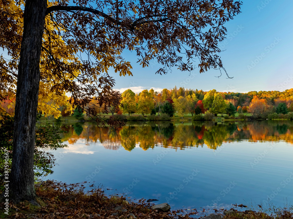 Fototapeta premium Keystone Lake in West Moreland County in the Laurel Highlands of Pennsylvania in the Fall with the Trees Reflecting in the Water and a large tree in the foreground. Colorful tree line.