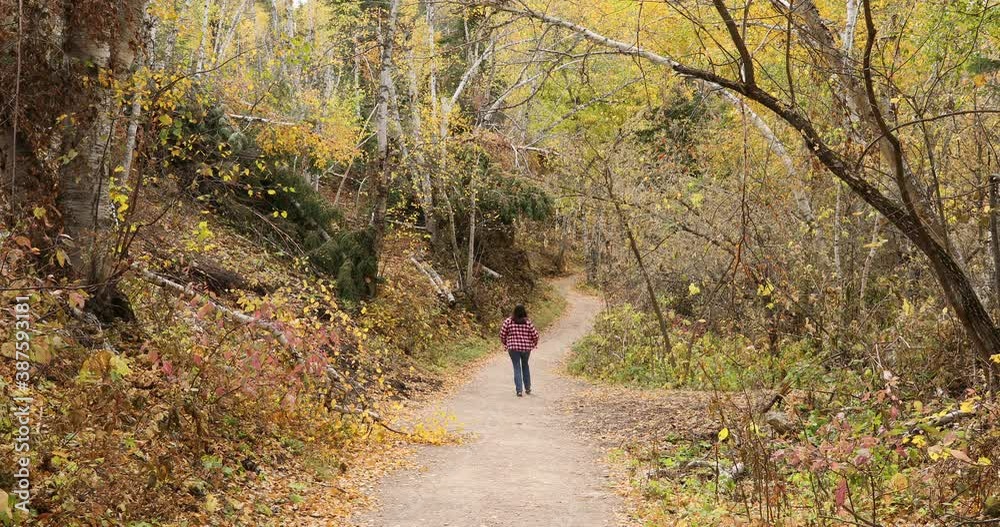Woman walk hike autumn mountain trail 4K. Beautiful fall colors in forest. Black Hills of South Dakota. Mountain, valley, landscape scenic discovery. Scenic byway, lakes, campgrounds and picnic areas.