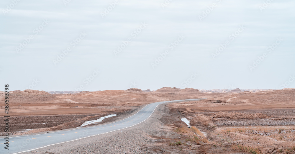 Fototapeta premium road in the desert