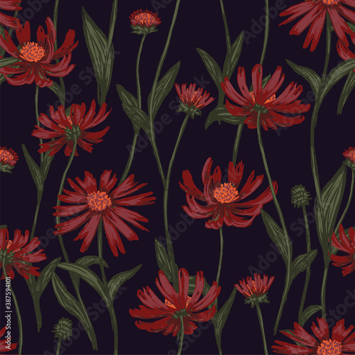 Cone flower or echinacea plants seamless pattern. Hand drawn vector illustration. Realistic botanical background. Wildflowers sketches. Colored vintage design, print, fabric, textile, wrap, wallpaper.