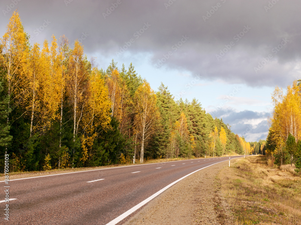 autumn landscape with colorful yellow trees in the background, dirt road in the foreground, golden autumn, expressive sky, autumn time