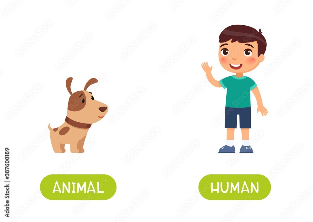 Animal and human antonyms word card vector template. Opposites concept. Flashcard for english language learning. Little boy and cute puppy. Animal and human antonyms word card vector template. Opposites concept. Flashcard for english language learning. Little boy and cute puppy.