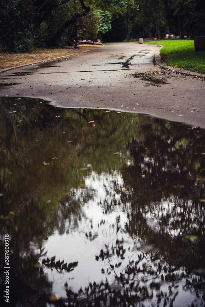 Fototapeta premium Rainy and empty city park