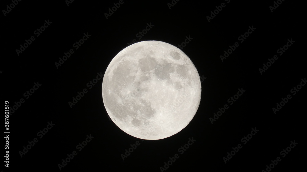 Naklejka premium moon in the night