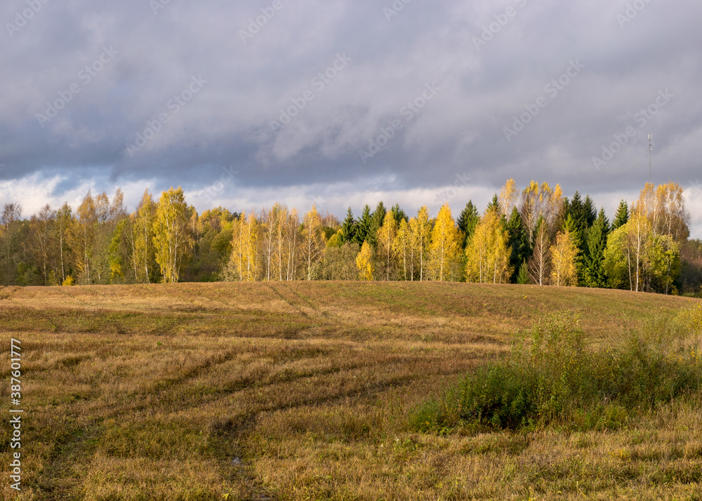 autumn landscape with colorful yellow trees in the background, foreground field, golden autumn, expressive sky, autumn time autumn landscape with colorful yellow trees in the background, foreground field, golden autumn, expressive sky, autumn time