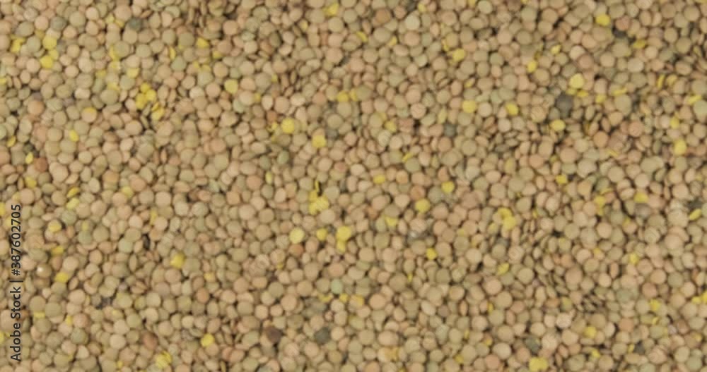 Focusing on the lentil grains background. Refocusing from a blurred background to a focused one. Focusing on the lentil grains background. Refocusing from a blurred background to a focused one.
