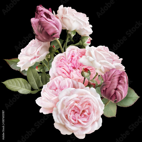 Fototapeta Naklejka Na Ścianę i Meble -  Blush pink roses and carmine tulips isolated on black background. Floral arrangement, bouquet of garden flowers. Can be used for invitations, greeting, wedding card.