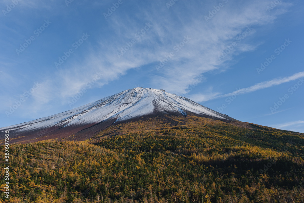 新雪と紅葉の富士山