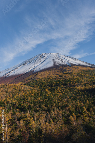 新雪と紅葉の富士山