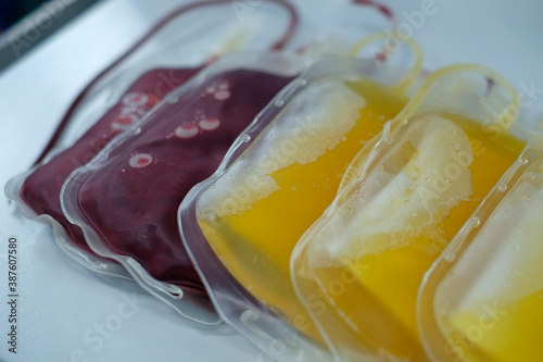 packed red cell (PRC) and fresh frozen plasma (FFP) bags for blood transfusion 