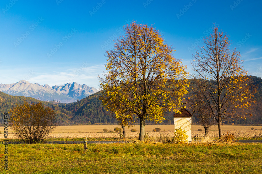 chapel with a tree in Low Tatras with background High Tatras, Slovakia