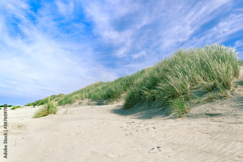 Dünen am Oststrand auf der Nordseeinsel Baltrum Dünen am Oststrand auf der Nordseeinsel Baltrum