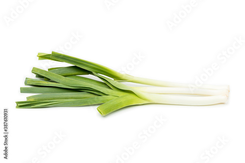 Green onion, spring onion, scallion isolated on white background.