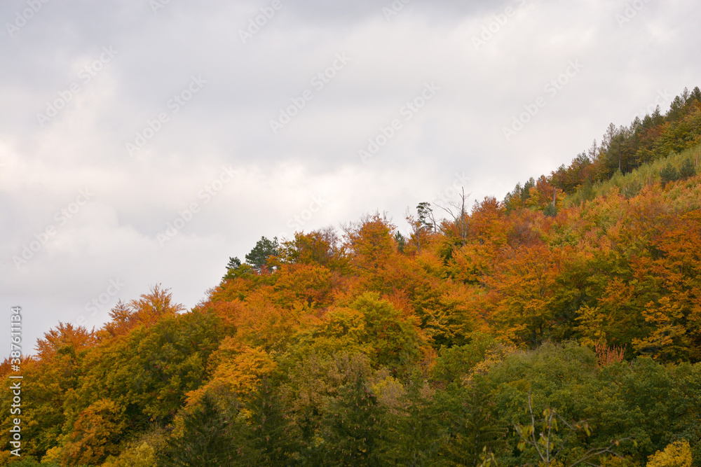 Herbstlich bunte Landschaft in Wien am Wienerwaldsee