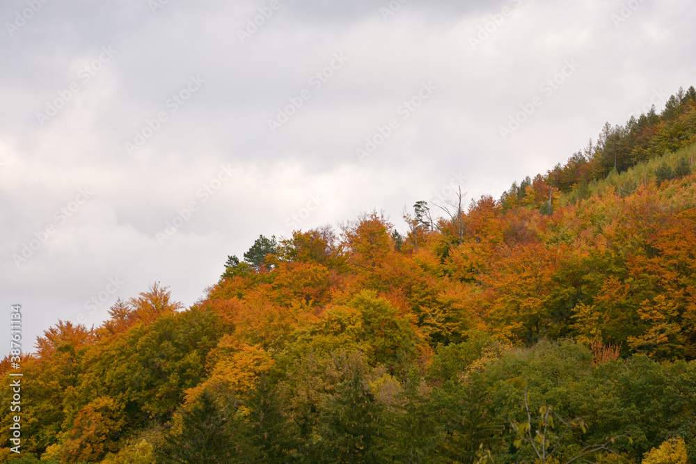 Herbstlich bunte Landschaft in Wien am Wienerwaldsee Herbstlich bunte Landschaft in Wien am Wienerwaldsee