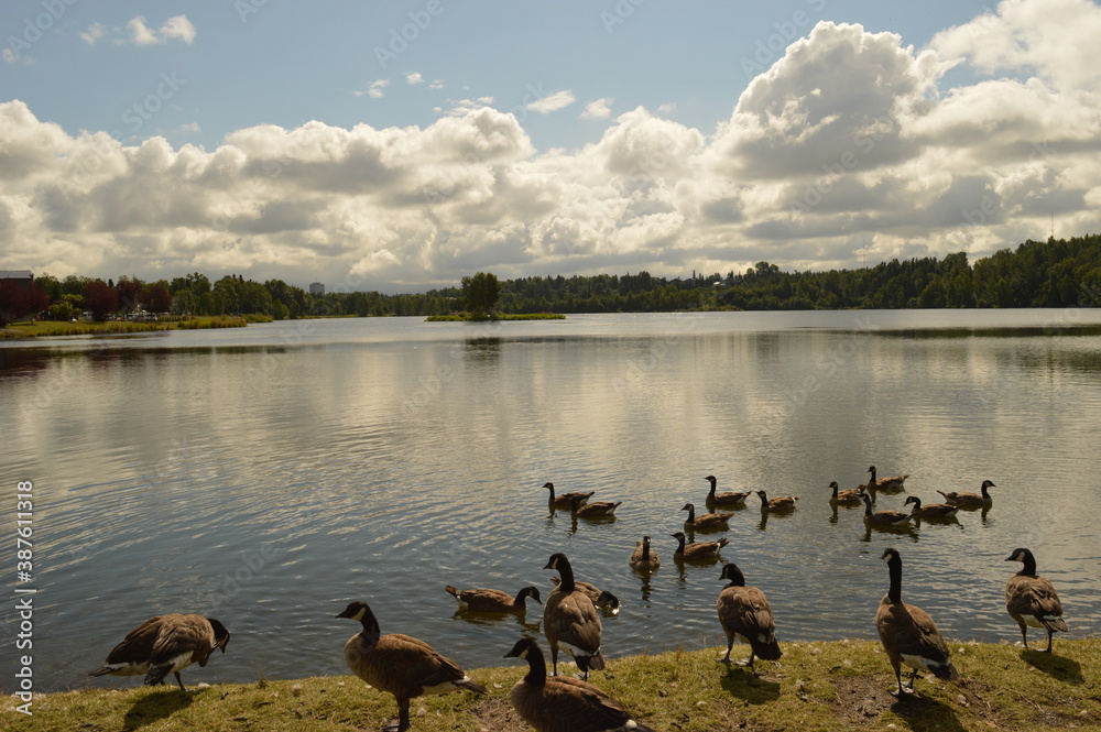 Road tripping and hiking in Northern Alaska and the Town of Chicken - USA Road tripping and hiking in Northern Alaska and the Town of Chicken - USA