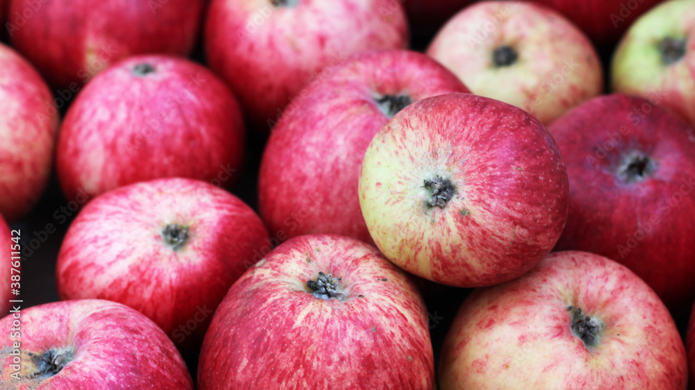 Rich harvest of red juicy apples Rich harvest of red juicy apples