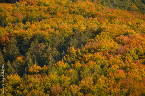 Herbstlich bunte Landschaft in Wien am Wienerwaldsee